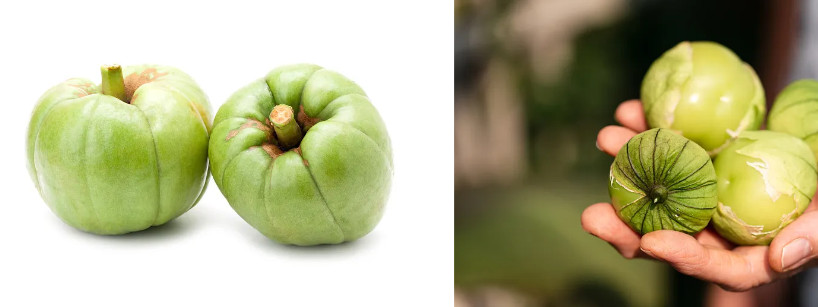 Garcinia cambogia.jpg