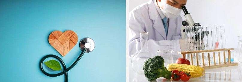 Industria de Sabores e Fragrancias.jpg