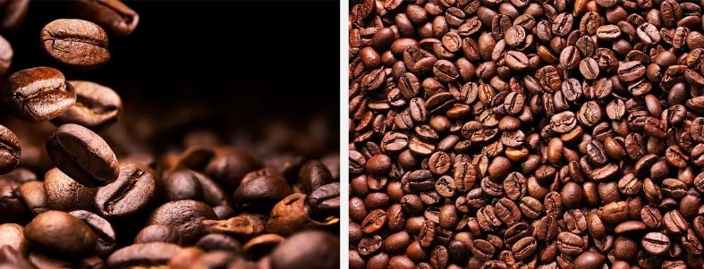 Gran de café.jpg