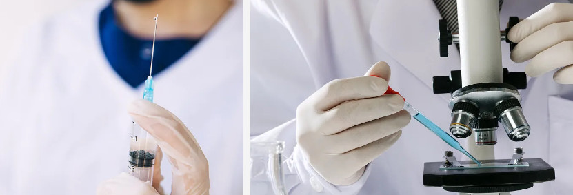 Pharmaceutical.jpg