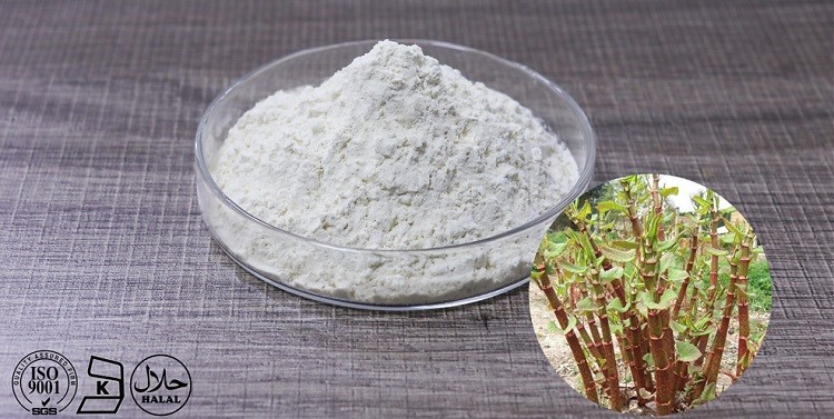 Resveratrol en po.jpg