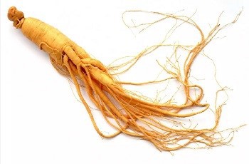 Ginseng mgbọrọgwụ.jpg