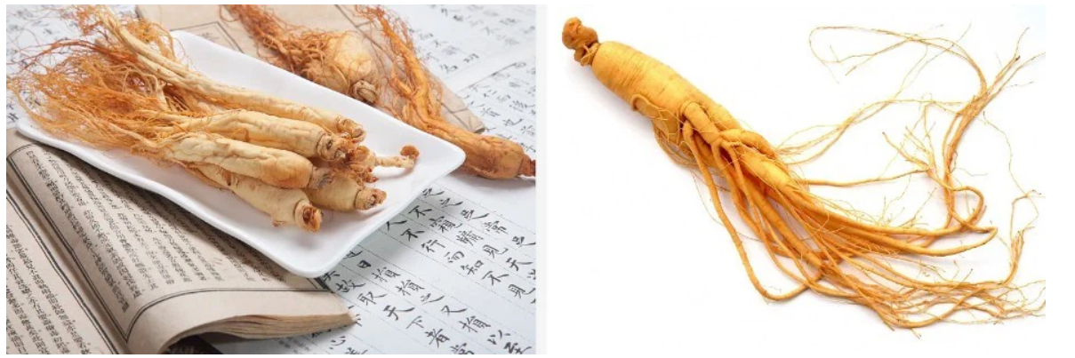 Po de extracto de raíz de ginseng siberiano orgánico .jpg