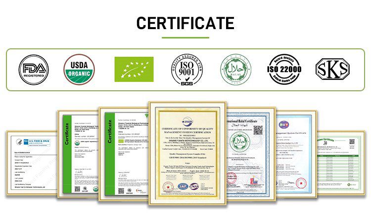 Certificate.jpg