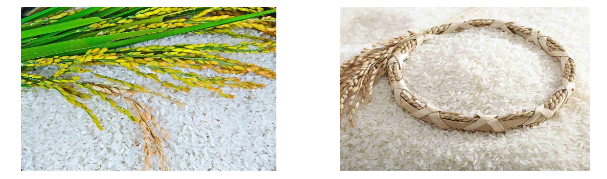 Protein osikapa Organic ntụ ntụ.jpg
