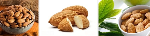 Proteína de améndoa en po a granel.jpg