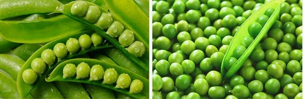 Proteína de chícharo en po hidrolizado.jpg