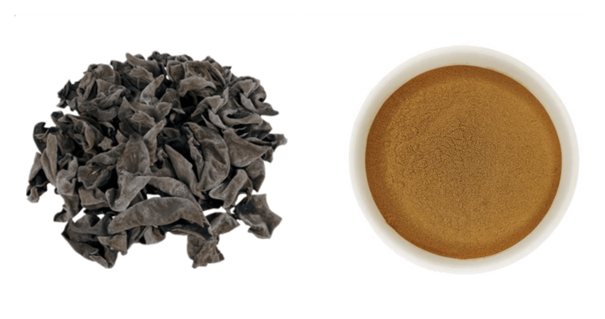 Black Fungus Extract Black Fungus Extract