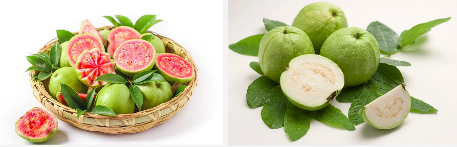 Po de froita de guayaba.png