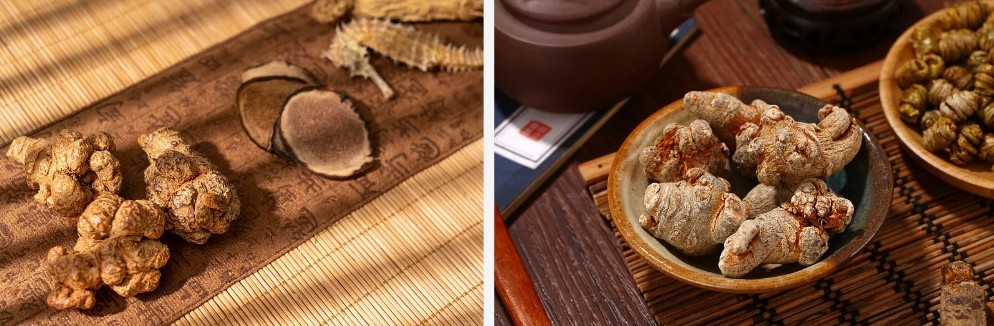 Radix Notoginseng Extract Powder.jpg