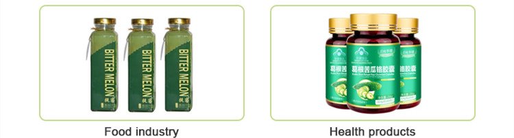 Extracto de cabaza amarga Powder.jpg