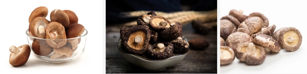Shiitake wepụ..jpg