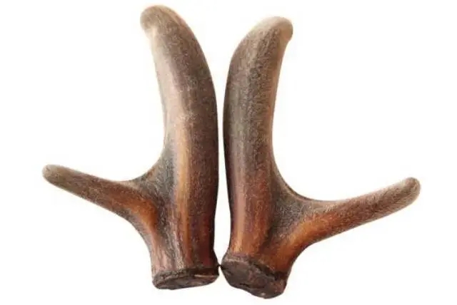 Deer antler extract1.jpg