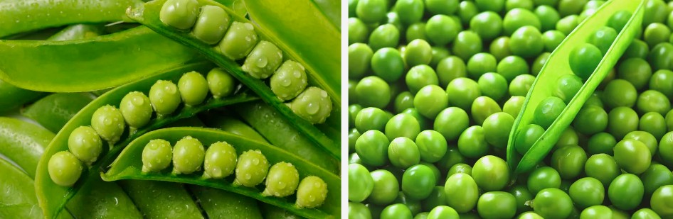 Ko te muka o te Pea Organic.jpg