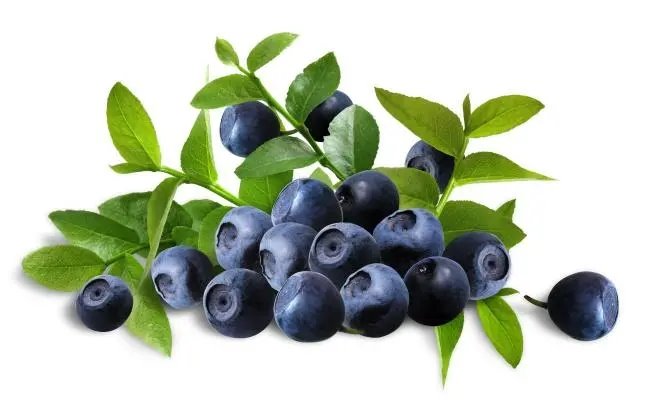 Po de froitas de arándanos.jpg