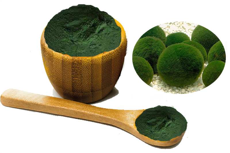 Polvo de clorella a granel.jpg