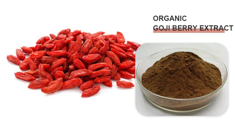 Po de extracto de bayas de Goji.jpg