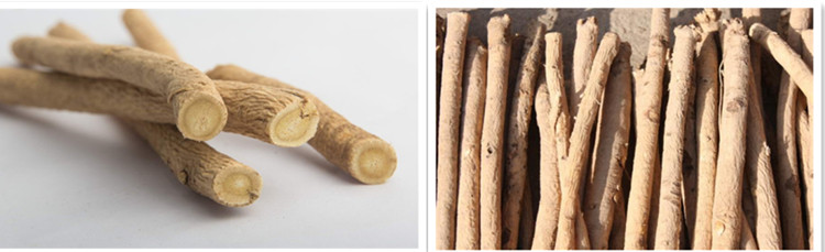 Karakterên nebatê yên Astragalus.jpg