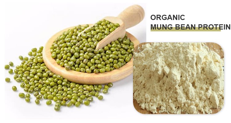 Proteína en po de feixón mungo.jpg