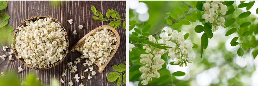 Quercetin ntụ ntụ nnukwu.png