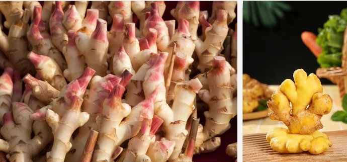 Polvo de galanxina.jpg