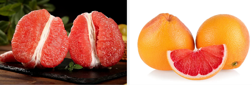 Po de extracto de pomelo.png