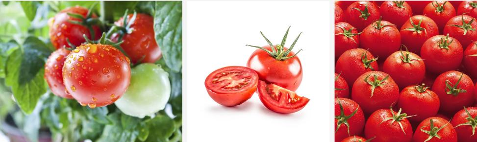 tomate.jpg