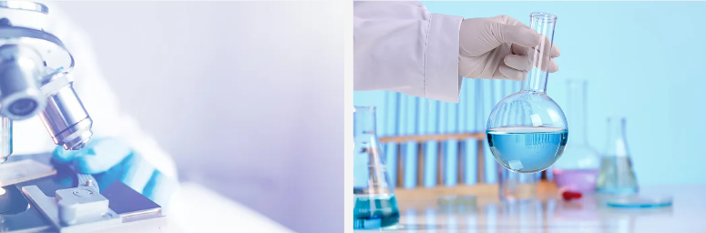aplicacións de po de trigo sarraceno tartario.jpg