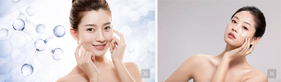 ferulic acid soplaya