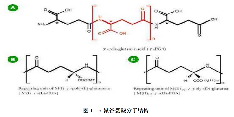 640_ 副本 .jpg