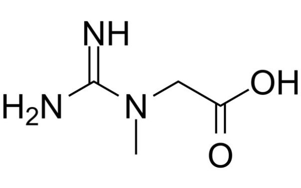 Powder Creatine Monohydrate Bulk1_副本.jpg