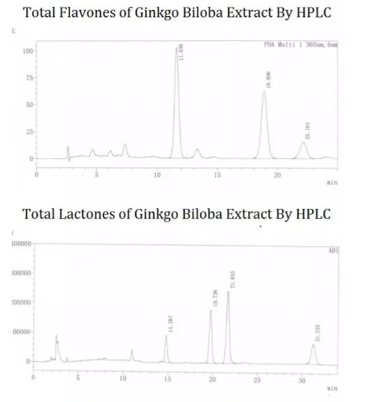 Extracto de Ginkgo.jpg