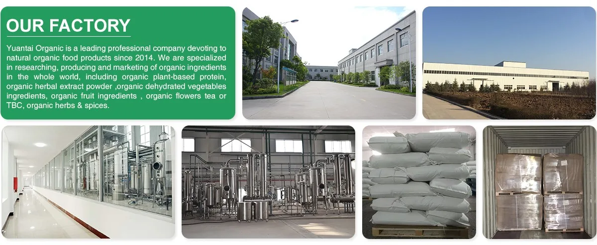 Ụlọ ọrụ anyị na Factory.webp