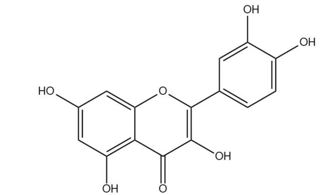 Pure Quercetin Powder.jpg