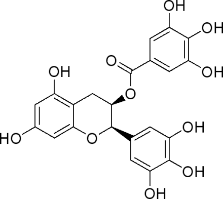 Bulk Gallic Acid Powder