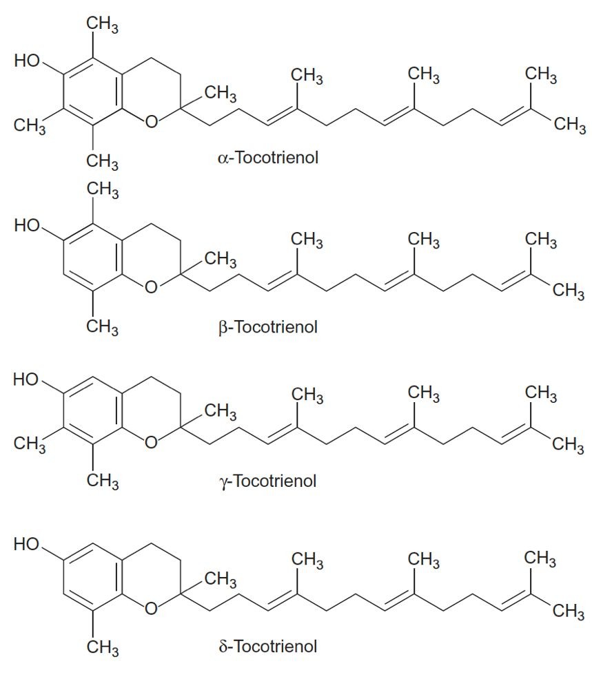 Tocotrienols.jpg
