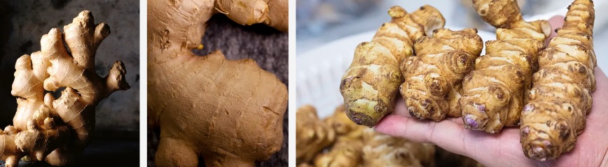Reş Ginger Extract Powder.jpg