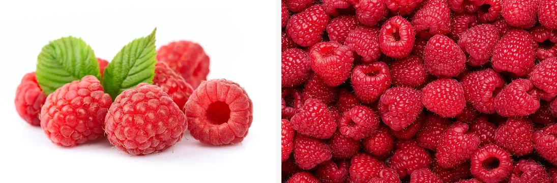 Raspberry ketone powder