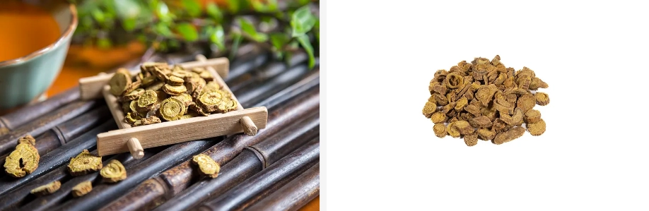 Scutellaria baicalensis root extract powder