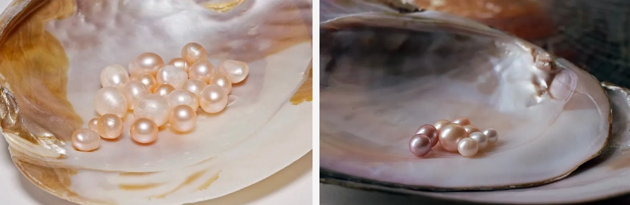 pearl powder