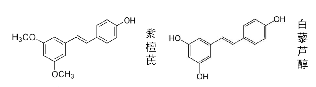 Pterostilbene2.png