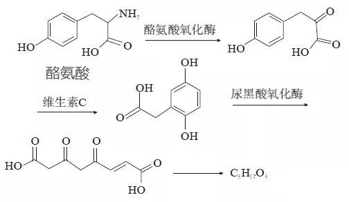 640 (1).png