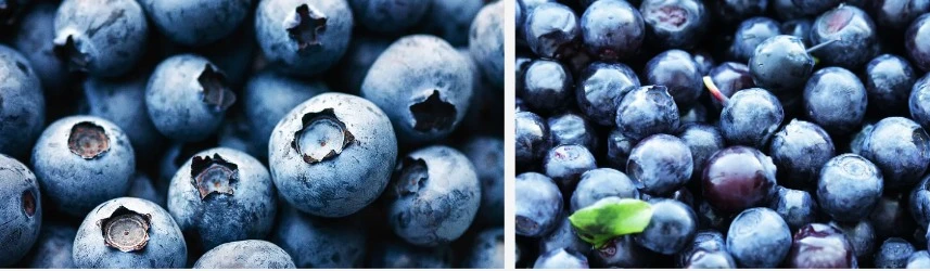 Bilberry tango paura.jpg