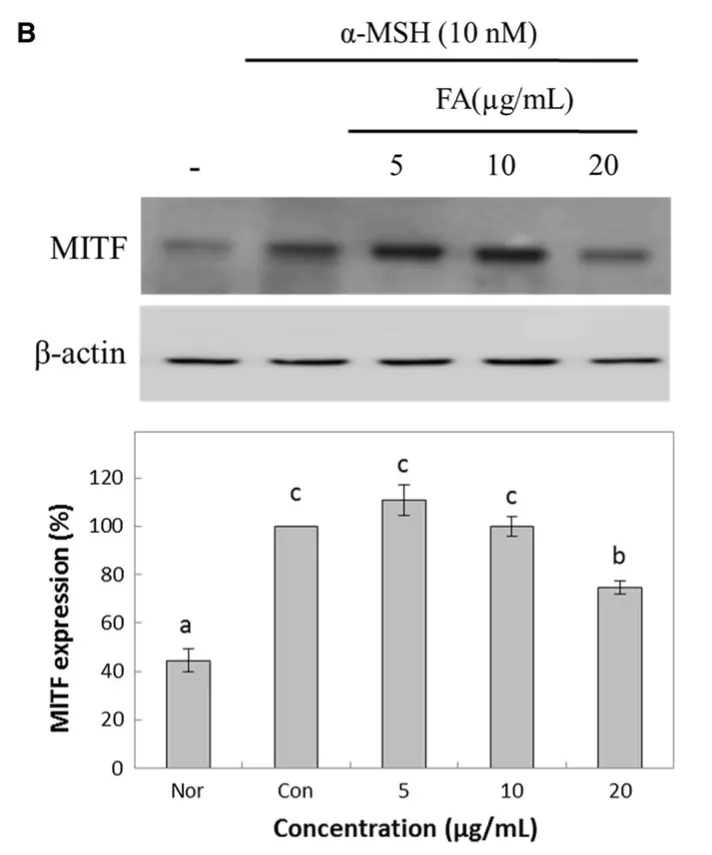 ferulic acid