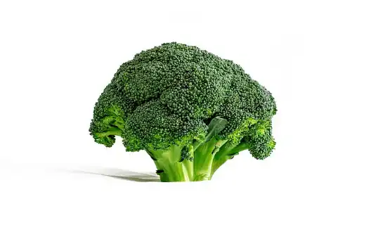 Broccoli Powder Bulk.png