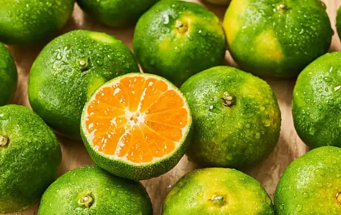 Bulk Hesperidin Powder.png