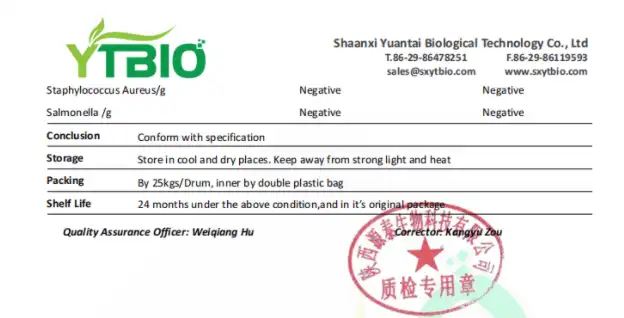 Creatine Monohydrate Powder Bulk.png