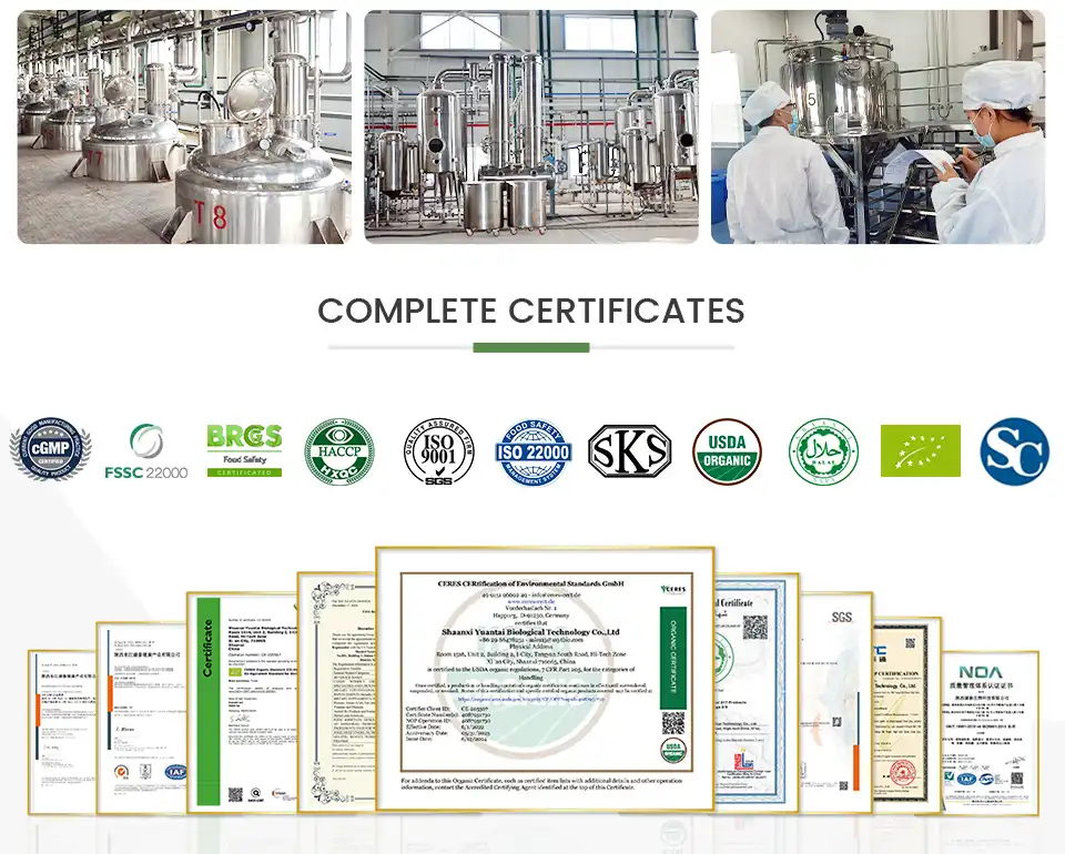 Svart risekstraktpulver.jpg