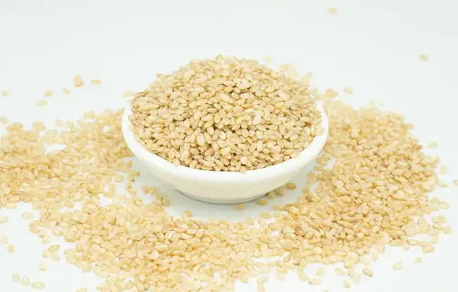 Organic Brown Rice Protein Powder.png