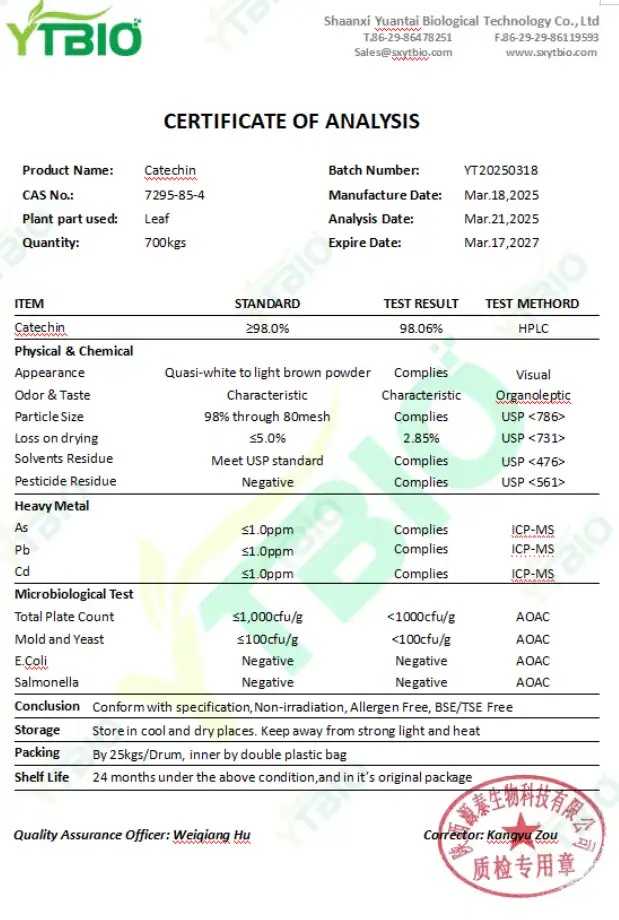 Bulk Green Tea Extract Powder.png